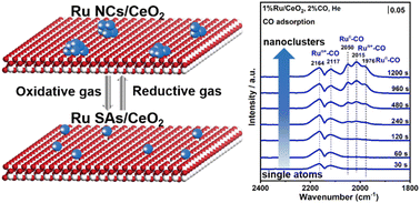 Graphical abstract: Spectroscopic investigation of the structural transformation of Ru in the Ru/CeO2 catalyst