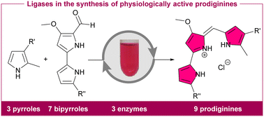 Graphical abstract: New prodigiosin derivatives – chemoenzymatic synthesis and physiological evaluation against cisplatin-resistant cancer cells