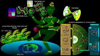 Graphical abstract: A strategically synthesized arseno-discriminatory tetra-phenoxido hetero-trinuclear complex envisioned for the recognition of iAs and oAs from Oryza sp. and aquatic crustaceans