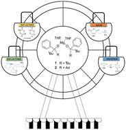 Graphical abstract: Simple magnesium alkoxides: synthesis, molecular structure, and catalytic behaviour in the ring-opening polymerization of lactide and macrolactones and in the copolymerization of maleic anhydride and propylene oxide