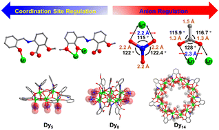 Graphical abstract: Different anion (NO3− and OAc−)-controlled construction of dysprosium clusters with different shapes