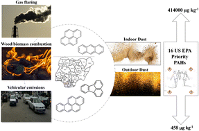 Graphical abstract: Polycyclic aromatic hydrocarbons in dust from rural communities around gas flaring points in the Niger Delta of Nigeria: an exploration of spatial patterns, sources and possible risk