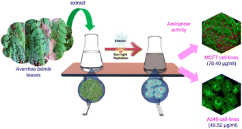 Graphical abstract: Phytofabrication of silver nanoparticles using Averrhoa bilimbi leaf extract for anticancer activity