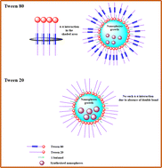 Graphical abstract: Understanding the effect of surfactants’ hydrophobicity on the growth of lanthanum sulfide nanospheres in water-in-oil microemulsions: a detailed dynamic light scattering, small angle X-ray scattering, and microscopy study