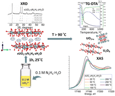 Graphical abstract: U(vi) hydrazinates: structural and thermal decomposition features