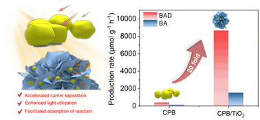 Graphical abstract: High-efficiency visible-light-driven oxidation of primary C–H bonds in toluene over a CsPbBr3 perovskite supported by hierarchical TiO2 nanoflakes
