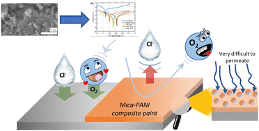 Graphical abstract: Synthesis of an eco-inspired anticorrosive composite for mild steel applications