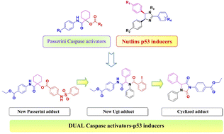 Graphical abstract: Reinvestigation of Passerini and Ugi scaffolds as multistep apoptotic inducers via dual modulation of caspase 3/7 and P53-MDM2 signaling for halting breast cancer