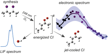 Graphical abstract: A five-carbon unsaturated Criegee intermediate: synthesis, spectroscopic identification, and theoretical study of 3-penten-2-one oxide