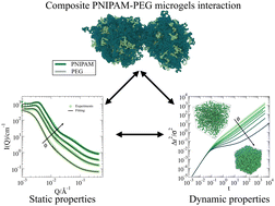Graphical abstract: Concentration and temperature dependent interactions and state diagram of dispersions of copolymer microgels