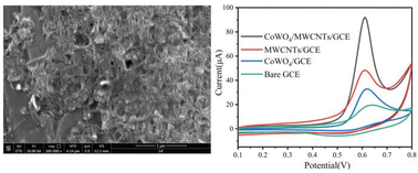 Graphical abstract: A sensitive electrochemical sensor based on CoWO4/multi-walled carbon nanotubes for the selective determination of chlorpromazine hydrochloride