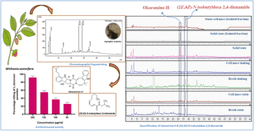 Graphical abstract: Chromatographic fingerprinting of epiphytic fungal strains isolated from Withania somnifera and biological evaluation of isolated okaramine H
