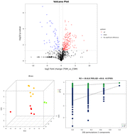 Graphical abstract: Comparative metabolomic in-depth exploration of red raspberry: new insights into changes in phytochemicals between different breeds