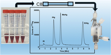 Graphical abstract: A rapid method for the determination of methylmercury and inorganic mercury species in whole blood by liquid chromatography with detection using vapor generation ICP-MS/MS