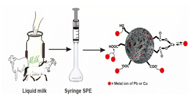Graphical abstract: Fast preconcentration of Pb(ii) and Cu(ii) in liquid milk by syringe solid-phase extraction using alginate and PVA biopolymer loaded with activated carbon