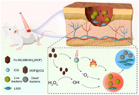 Graphical abstract: A triple-mode strategy combining low-temperature photothermal, photodynamic, and chemodynamic therapies for treating infectious skin wounds