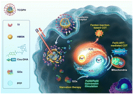 Graphical abstract: Enhanced Fe(ii)-artemisinin-mediated chemodynamic therapy with efficient Fe(iii)/Fe(ii) conversion circulation for cancer treatment