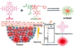 Graphical abstract: A hypoxia-targeting and hypoxia-responsive nano-probe for tumor detection and early diagnosis