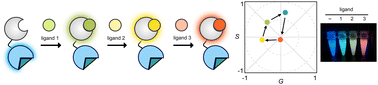 Graphical abstract: A versatile bioluminescent probe with tunable color