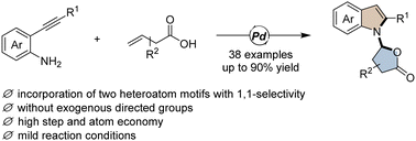 Graphical abstract: Palladium-catalyzed 1,1-aminoxylation of 3-butenoic acid with 2-alkynylanilines