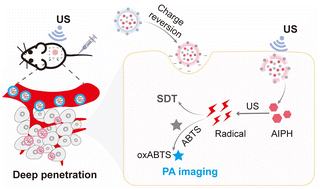 Graphical abstract: Acid-responsive liposomal nanodrug with promoted tumor penetration for photoacoustic imaging-guided sonodynamic therapy