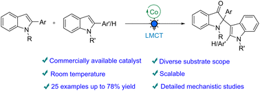 Graphical abstract: Cobalt catalysed cross-dehydrogenative coupling of indoles: a photoinduced ligand to metal charge transfer process