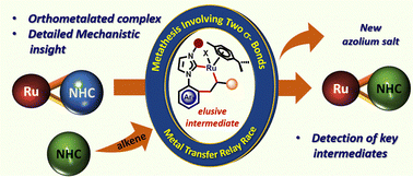 Graphical abstract: Alkene-promoted NHC ligand substitution in orthometalated Ru–NHC complexes via σ-bond metathesis: a mechanistic insight