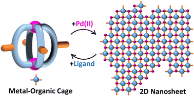 Graphical abstract: Programmable assembly/disassembly of metal–organic cage integrated 2D nanosheets