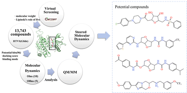 Graphical abstract: Discovery of potential VEGFR-2 inhibitors from natural products by virtual screening and molecular dynamics simulation