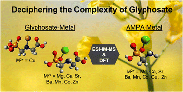 Graphical abstract: Structural complexity of glyphosate and aminomethylphosphonate metal complexes