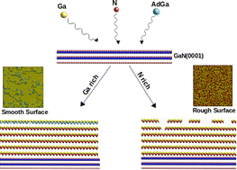 Graphical abstract: Ga adlayer model: capturing features of GaN(0001) growth from the submonolayer to the multilayer regime