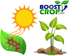 Graphical abstract: Molecular heaters: a green route to boosting crop yields?