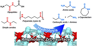 Graphical abstract: Hydrolysis of amide bonds in dipeptides and nylon 6 over a ZrO2 catalyst