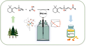 Graphical abstract: Catalyst speciation and deactivation in the ruthenium-mediated transformation of ethynyl-β-ionol to α,β-unsaturated esters for vitamin A synthesis