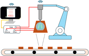Graphical abstract: An automated electrolyte-gate field-effect transistor test system for rapid screening of multiple sensors
