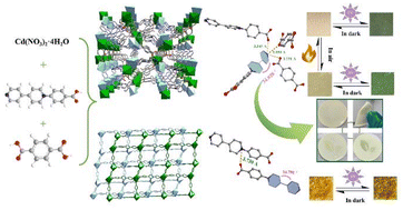 Graphical abstract: Tunable photo/thermochromic properties of Cd(ii)-viologen coordination polymers modulated by coordination modes for flexible imaging films and anti-counterfeiting