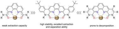 Graphical abstract: Completely preorganized bis-lactam-1,10-phenanthroline ligands with high stability for efficient separation of Am(iii) over Eu(iii)