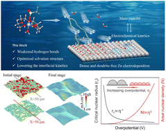 Graphical abstract: Regulating interfacial kinetics boosts the durable A h-level zinc-ion batteries