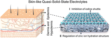 Graphical abstract: Skin-like quasi-solid-state electrolytes for spontaneous zinc-ion dehydration toward ultra-stable zinc–iodine batteries