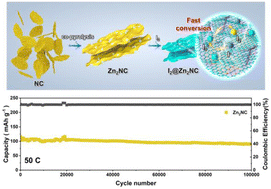 Graphical abstract: Tailoring zinc diatomic bidirectional catalysts achieving orbital coupling–hybridization for ultralong-cycling zinc–iodine batteries