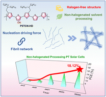 Graphical abstract: Nucleation driving force-controlled fibril network formation using a non-halogenated solvent enables polythiophene solar cells with over 18% efficiency