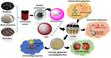 Graphical abstract: Development of bionanocomposite packaging films based on lignin nanoencapsulated anthocyanins extracted from agro-waste for enhancing the post-harvest shelf life of tomatoes