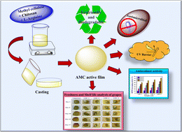 Graphical abstract: Fabrication and characterization of methylcellulose/chitosan active films incorporated with l-arginine and their potential in the green packaging of grapes