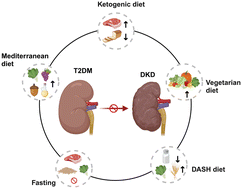 Graphical abstract: Dietary therapy to halt the progression of diabetes to diabetic kidney disease