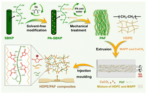 Graphical abstract: Solvent-free preparation of propionyl-modified pulp fibers for high-density polyethylene reinforcement