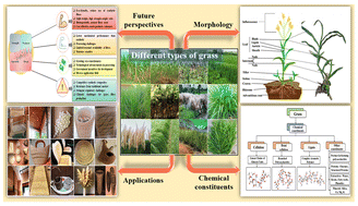 Graphical abstract: Green chemistry approaches in materials science: physico-mechanical properties and sustainable applications of grass fiber-reinforced composites