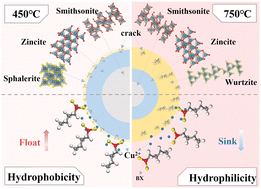 Graphical abstract: Efficient flotation of smithsonite using sulfidation reconstruction based on fluidization roasting