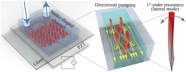 Graphical abstract: An integratible acoustic micropump based on the resonance of on-substrate sharp-edge micropillar arrays
