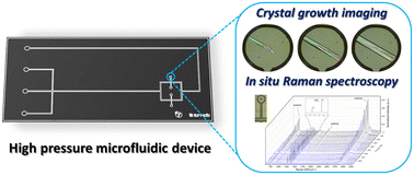 Graphical abstract: A microfluidic platform for studying supercritical fluid crystallization and its applications