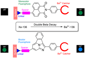 Graphical abstract: Supramolecular chemistry in solution and solid–gas interfaces: synthesis and photophysical properties of monocolor and bicolor fluorescent sensors for barium tagging in neutrinoless double beta decay